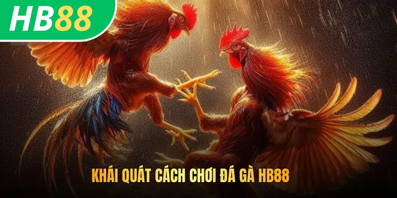 Cách Chơi Đá Gà HB88: Trải Nghiệm Nhiều Trận Chiến Khốc Liệt 2 Khái quát cách chơi đá gà HB88