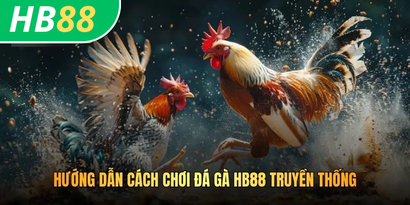 Cách Chơi Đá Gà HB88: Trải Nghiệm Nhiều Trận Chiến Khốc Liệt 3 Hướng dẫn cách chơi đá gà HB88 truyền thống