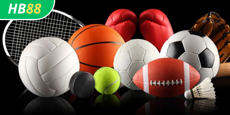 T-Sports HB88: Nghiên cứu và Phân Tích Sâu Rộng